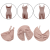 Load image into Gallery viewer, 9
