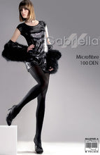 Load image into Gallery viewer, Classic Microfibre 100 Tights
